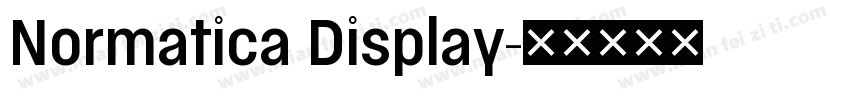 Normatica Display字体转换